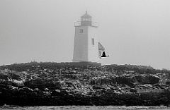 Nash Island Lighthouse in Foggy Down East Maine -BW